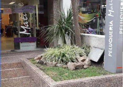 Matisse - Peluquería en Pocitos, Montevideo